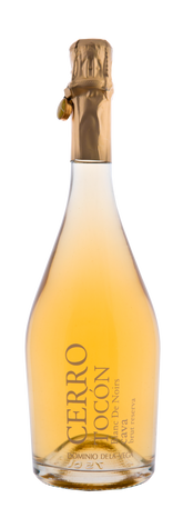CAVA CERRO TOCÓN - Pinot Noir 2017